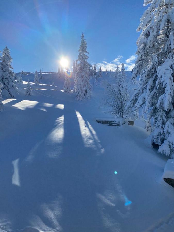 Olimpik House Jahorina Villa Dış mekan fotoğraf