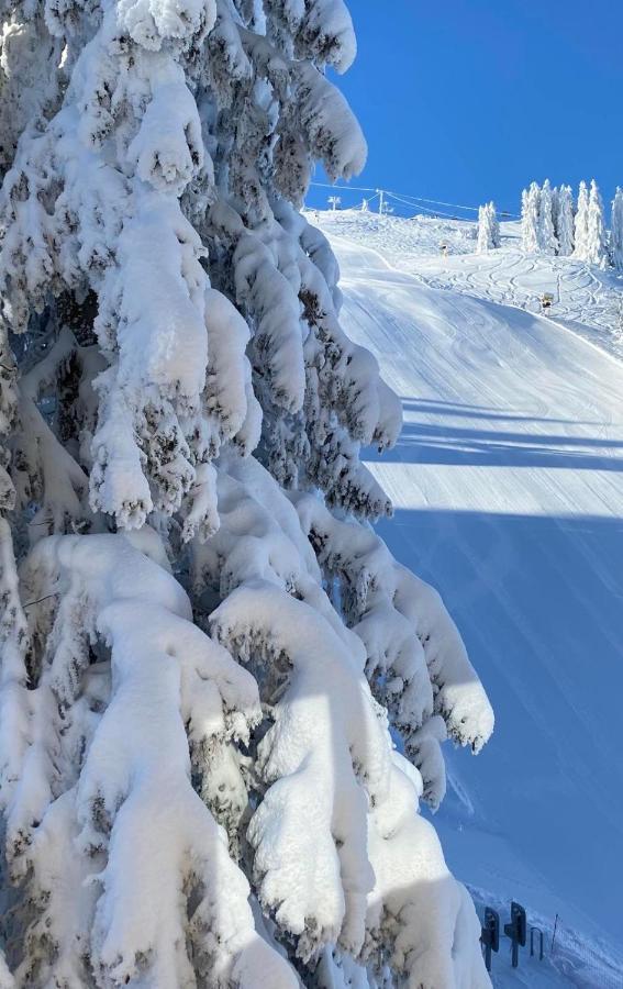 Olimpik House Jahorina Villa Dış mekan fotoğraf